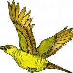 The Golden Bird Story