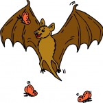 The Bat and the Weasels Fable